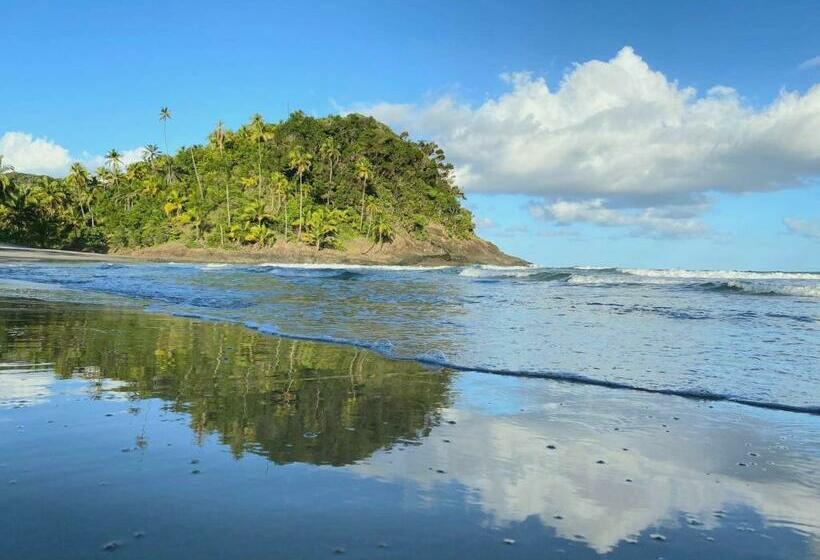 پانسیون Art Jungle Eco Lodge