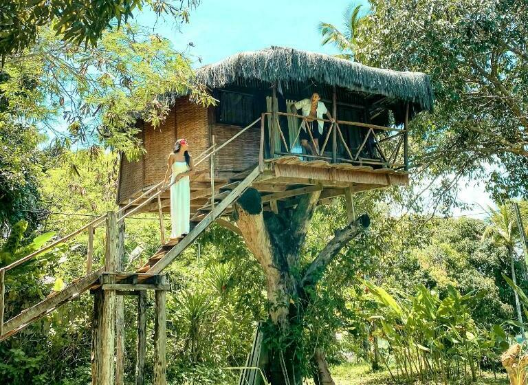 پانسیون Art Jungle Eco Lodge