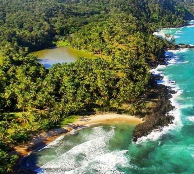 پانسیون Art Jungle Eco Lodge