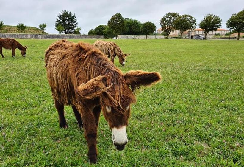 Пансион La Martinoise Patio