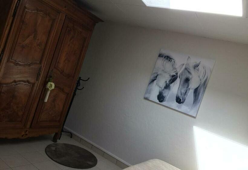 פנסיון Maison Cozy