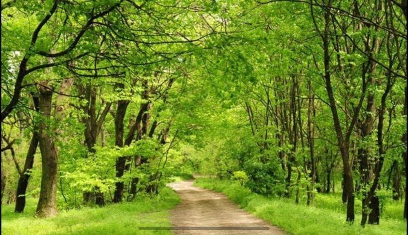 Пансион Niko’s House