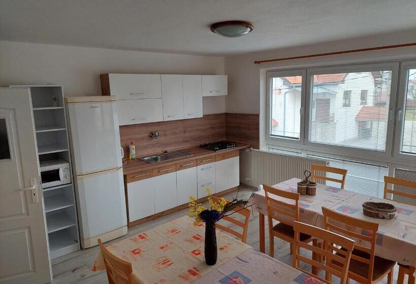 بنسيون Penzion Mayka