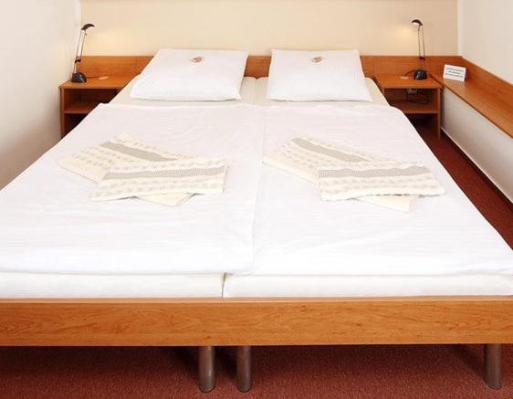 펜션 Penzion Pivovarská Restaurace Moravia