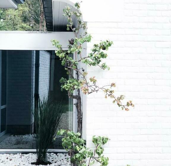 ペンション The Oak