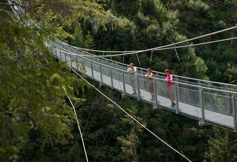 Alphotel Garni Salner