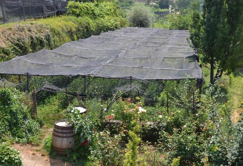 צימר Agriturismo Nonno Tobia