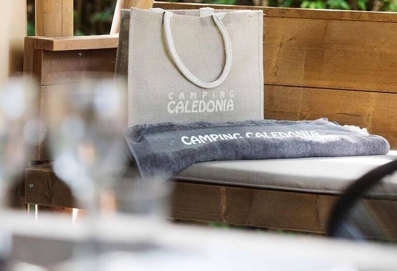 Camping Caledonia