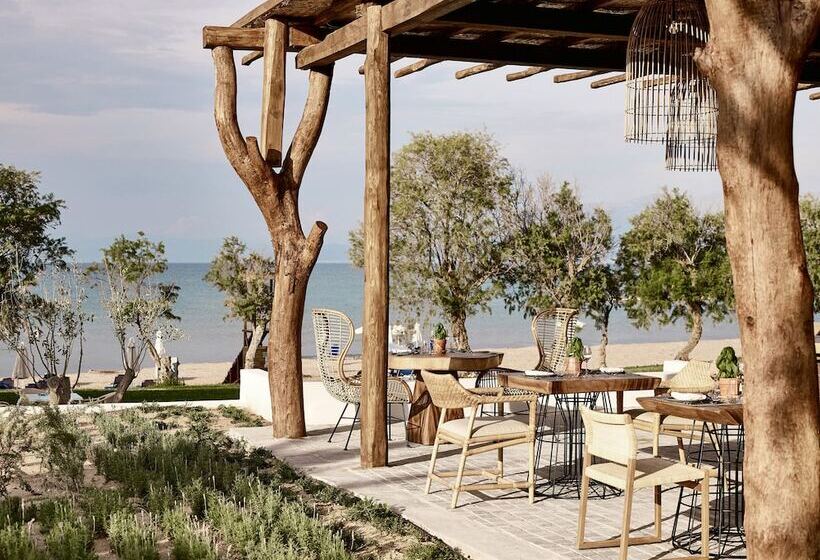 Grecotel Casa Marron, Lifestyle All In Resort