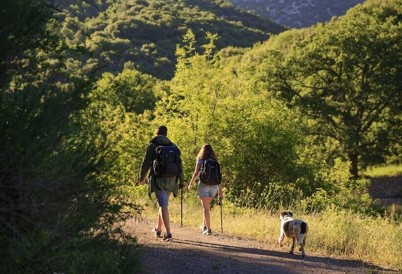 בית מלון כפרי Abeliona Retreat