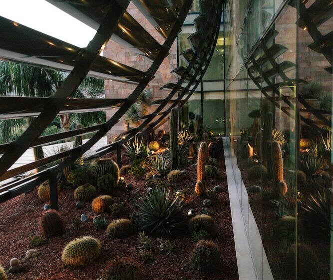 هتل Alimounda Mare