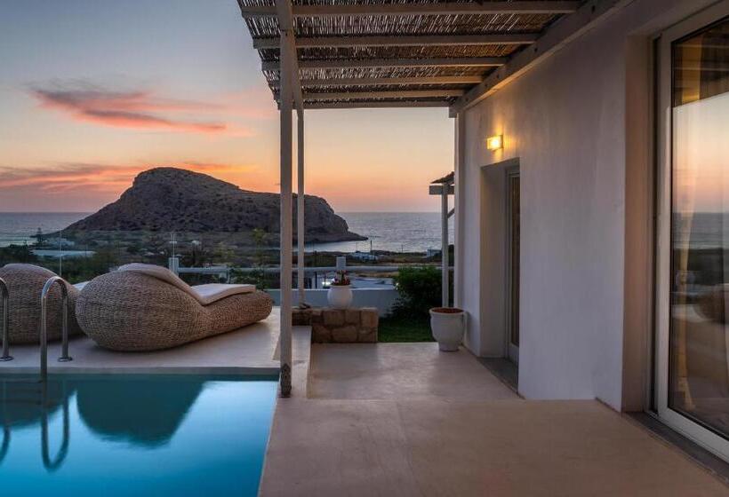 هتل Arkasa Palace