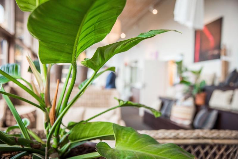 Arken Hotel & Art Garden Spa