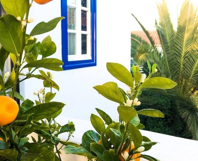 酒店 Armata Boutique