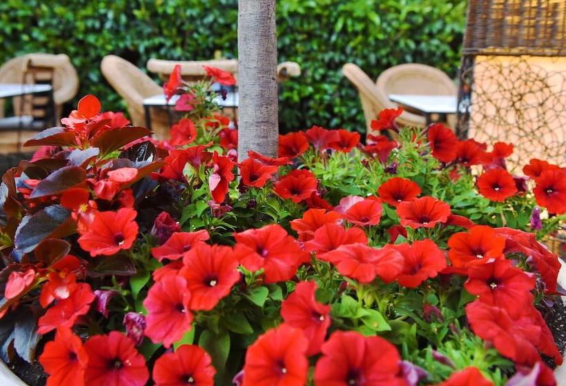 酒店 Armata Boutique