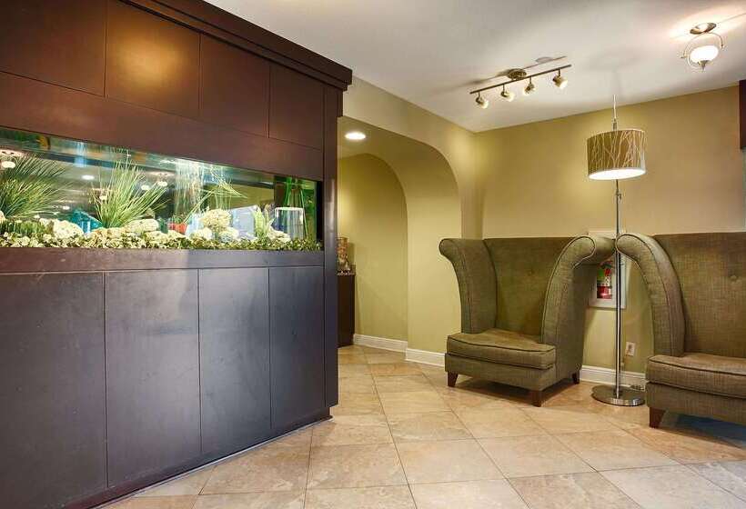 فندق Best Western Zachary Inn