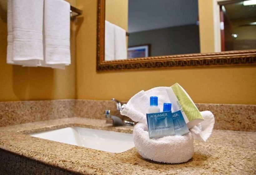 فندق Best Western Zachary Inn