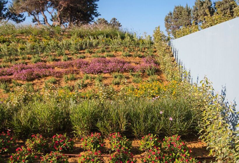 Отель Blue Lagoon Village   All Inclusive