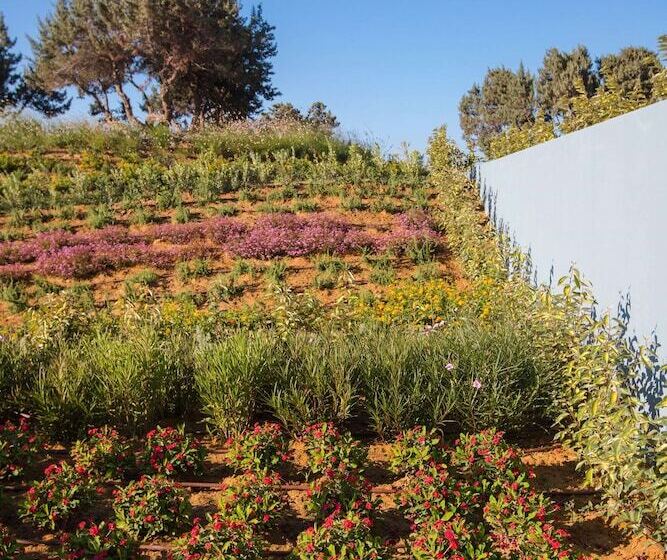 Отель Blue Lagoon Village   All Inclusive