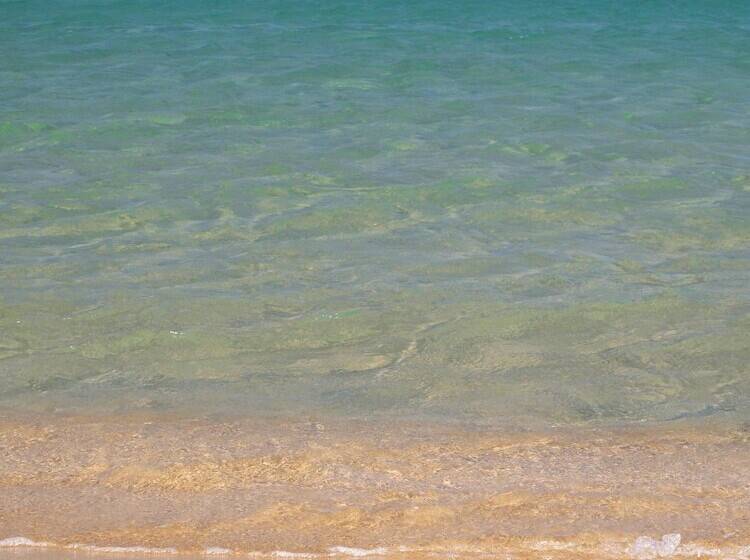 Отель Blue Lagoon Village   All Inclusive