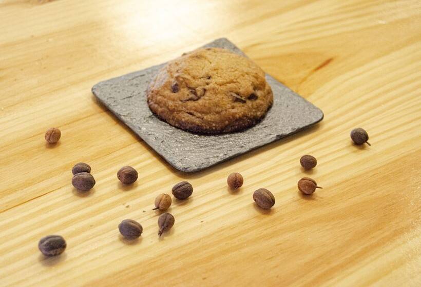 هتل Catalina Plaza Sostenible