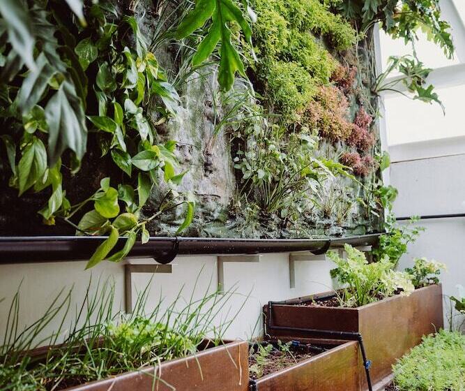 هتل Catalina Plaza Sostenible