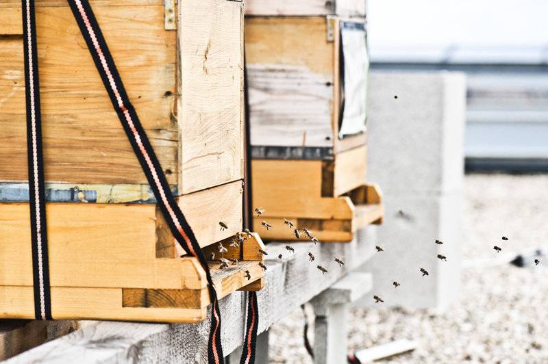 هتل Daniel Vienna   Smart Luxury Near City Centre