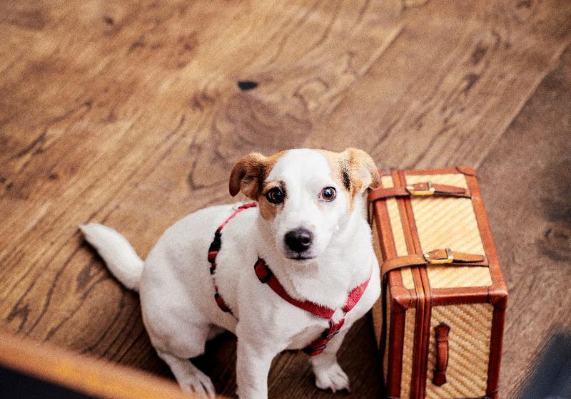 هتل Daniel Vienna   Smart Luxury Near City Centre