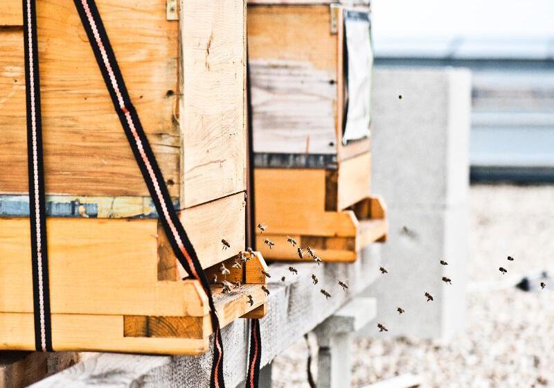 هتل Daniel Vienna   Smart Luxury Near City Centre