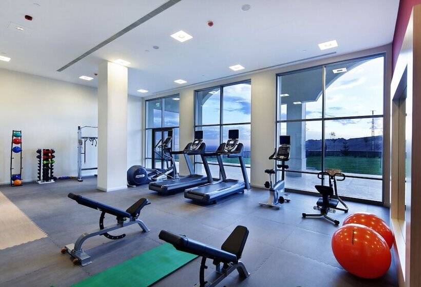 هتل Hilton Garden Inn Mardin