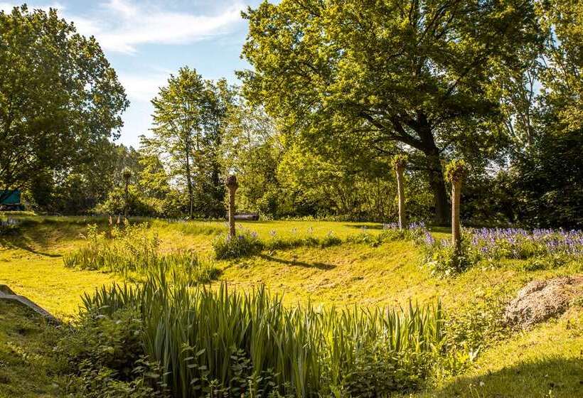 酒店 Hilton London Heathrow Airport Terminal 5