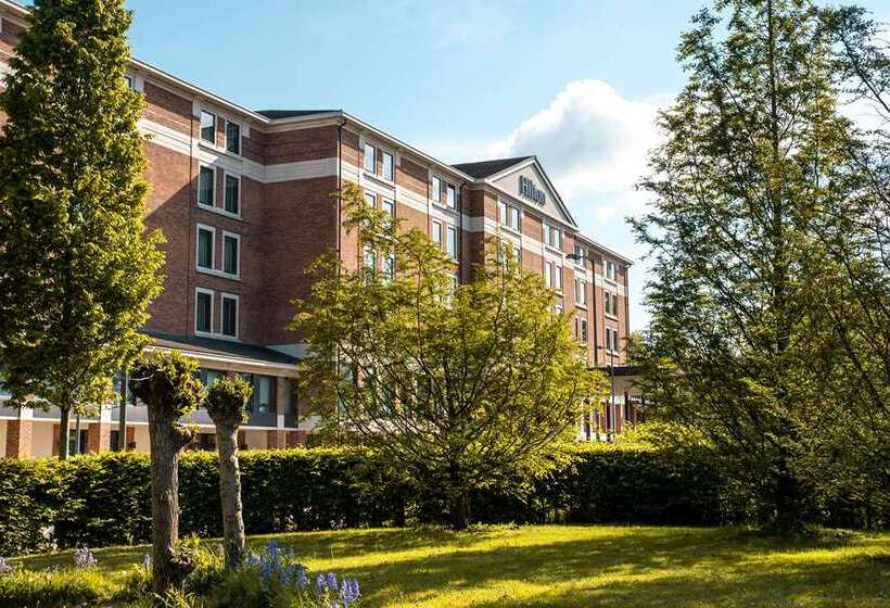 酒店 Hilton London Heathrow Airport Terminal 5