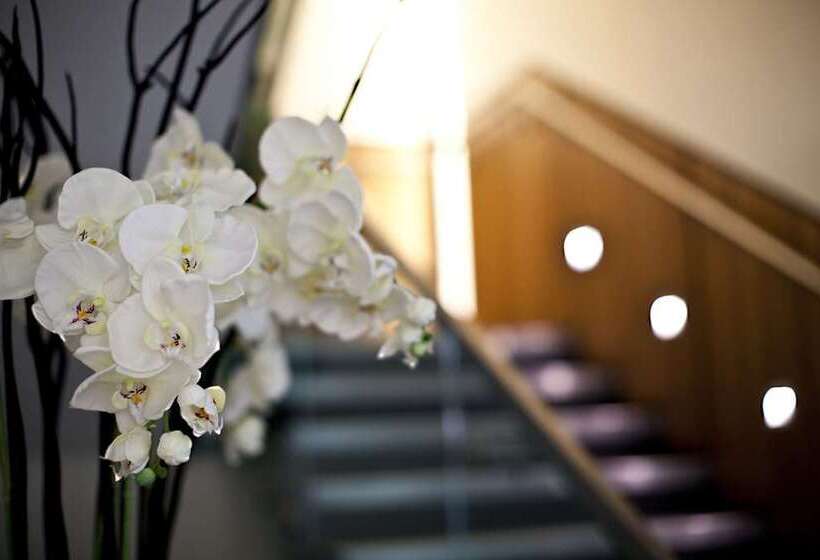 酒店 Hilton London Heathrow Airport Terminal 5