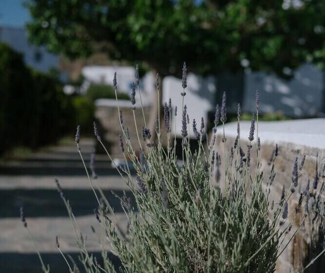 בית מלון כפרי Indigo Studios