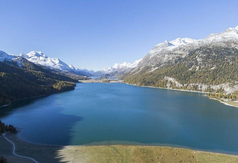 ホテル Nira Alpina