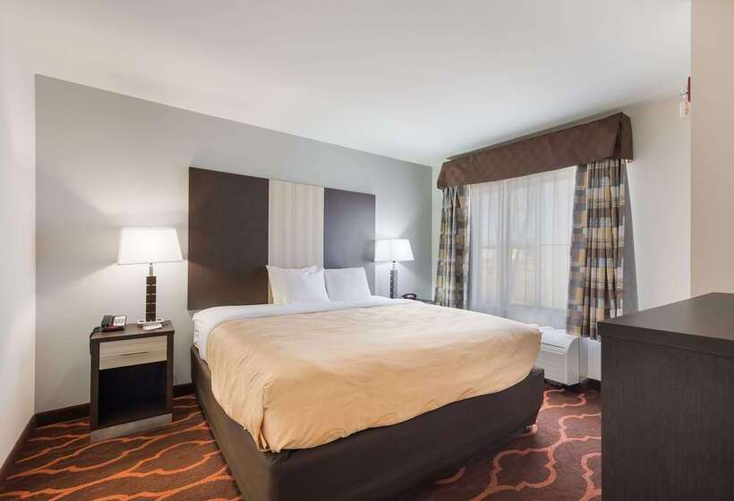 酒店 Quality Inn & Suites Huntsville Research Park Area