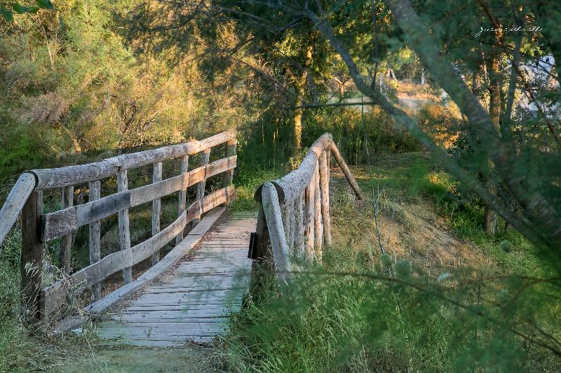 교외 호텔 Ardea Purpurea