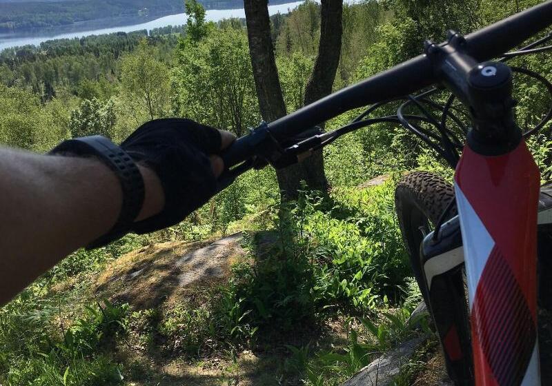 Отель Selma Spa+