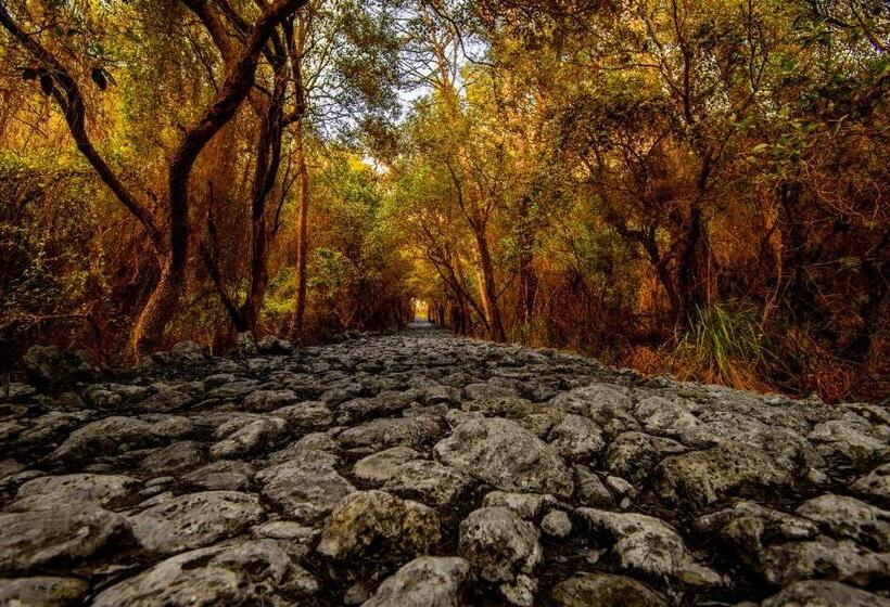 酒店 S´hostal D´esporles