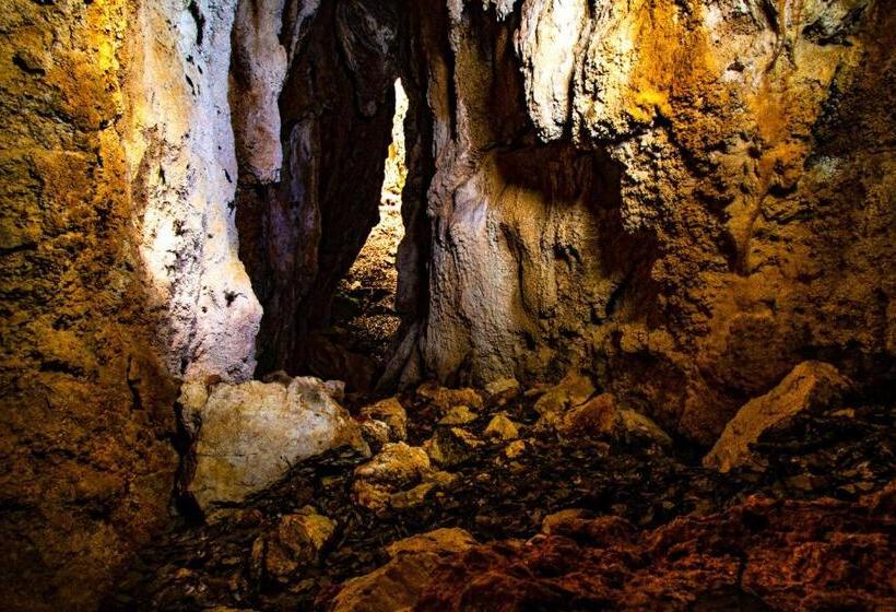 酒店 S´hostal D´esporles