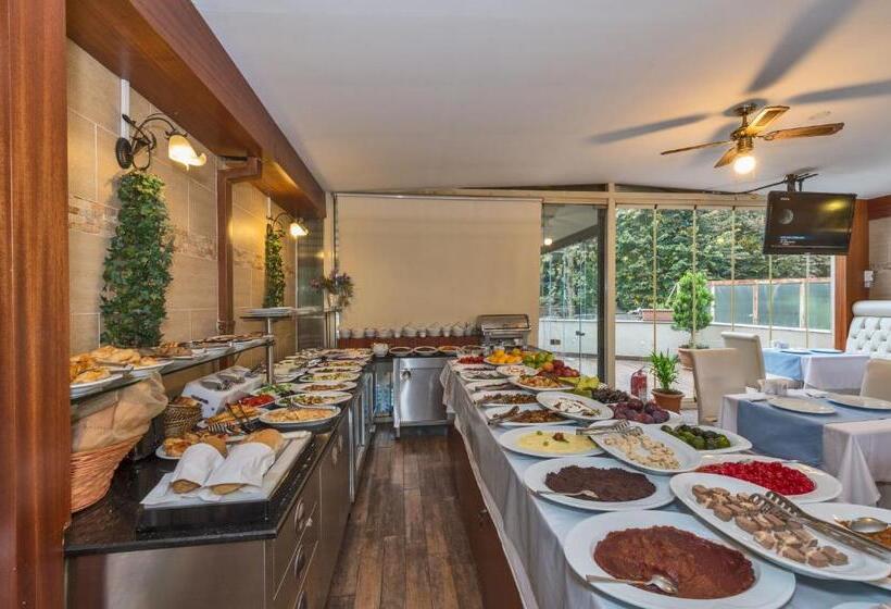 هتل The Empress Theodora