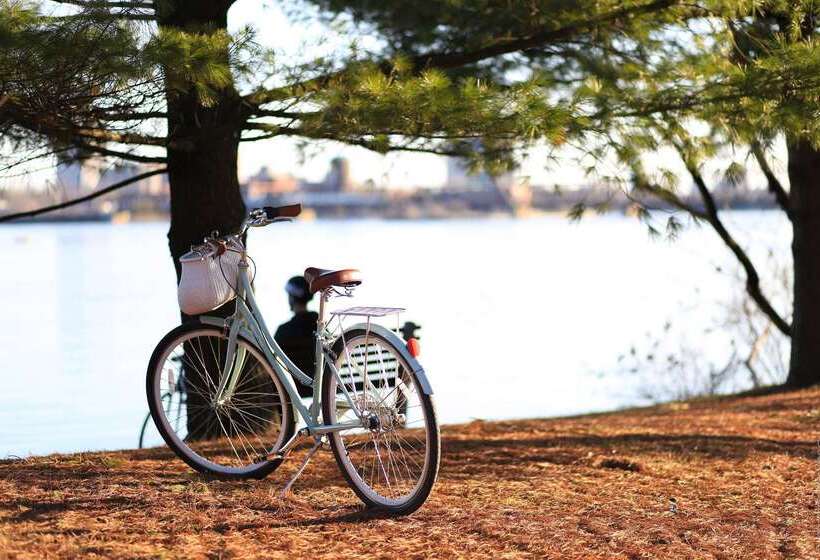 ホテル Hôtel Pont Rouge , Carcassonne