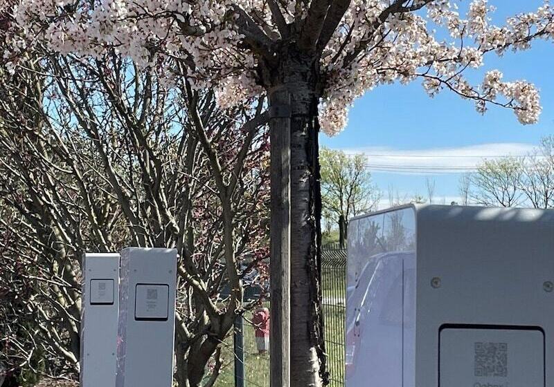 ホテル Hôtel Pont Rouge , Carcassonne