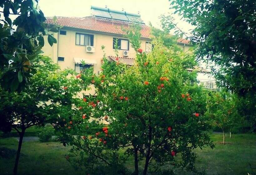 فندق Viktoria Tirana