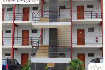 فندق Vila Alice