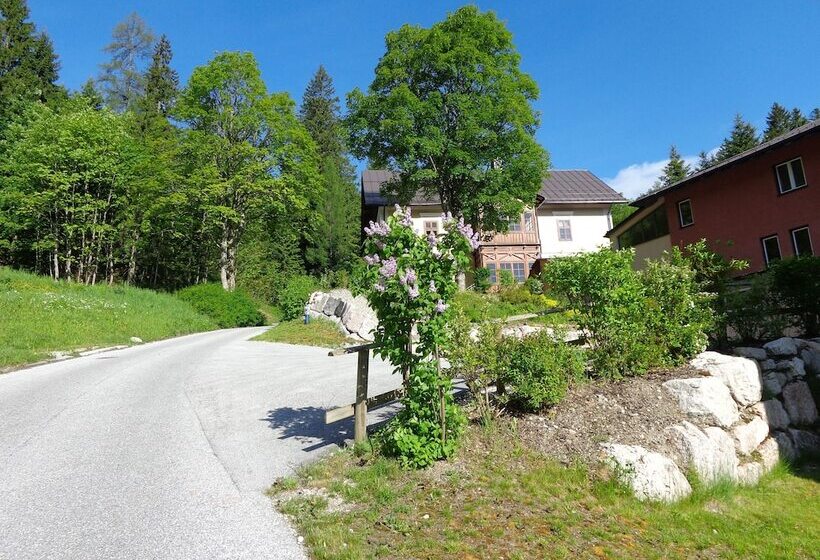 Jufa Hotel Altaussee