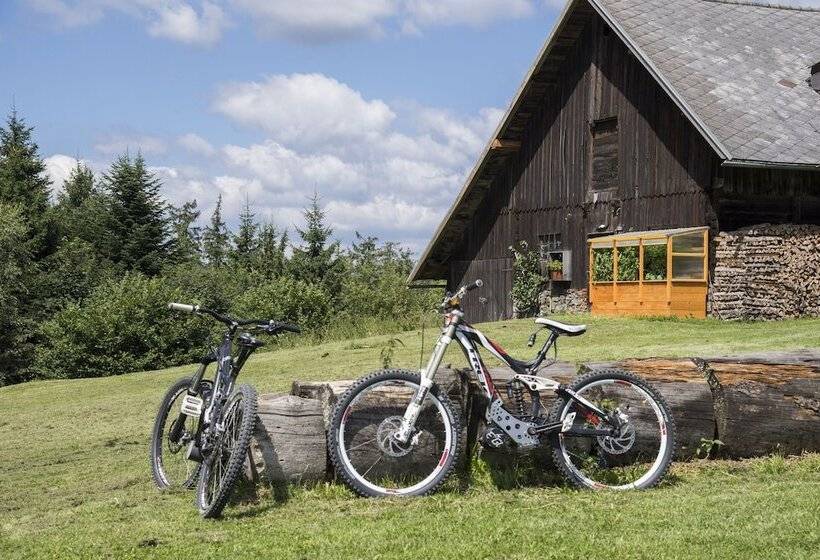 Jufa Hotel Bruck An Der Mur   Im Weitental