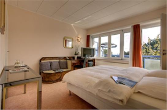 Motel Des Pierrettes