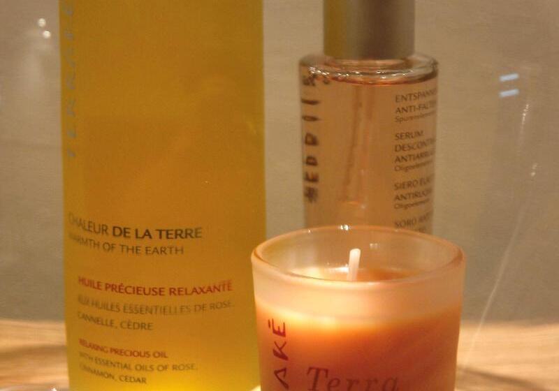 Novotel Spa Rennes Centre Gare