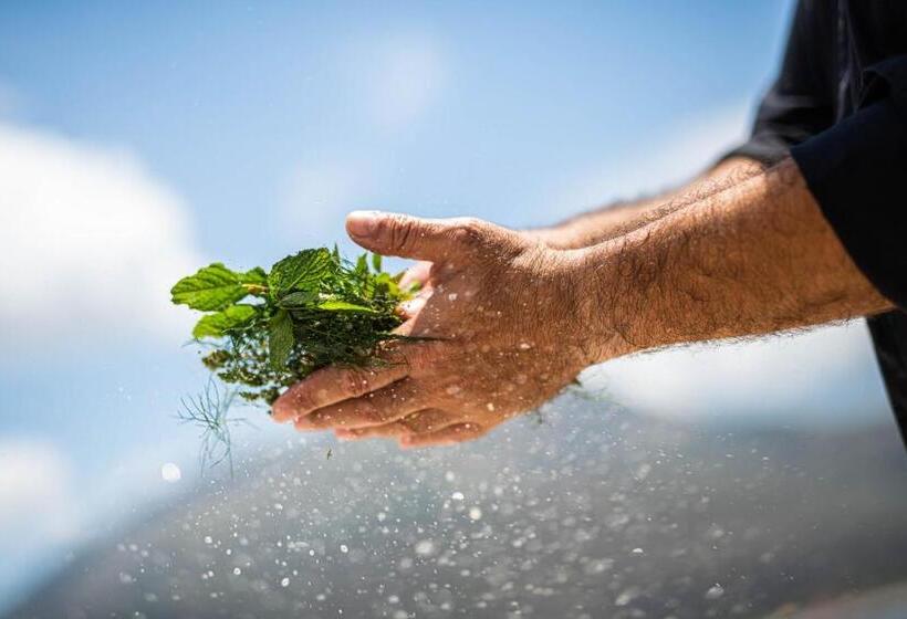 Petra & Fos Boutique Hotel & Spa